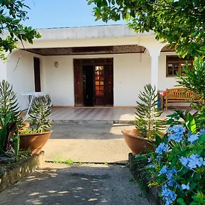  Guest house The Kapokier