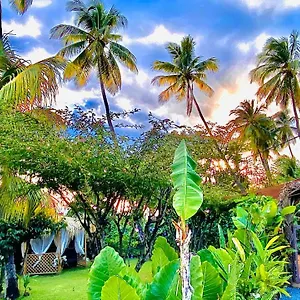 Hébergement de vacances Majo Lounge Dans Un Jardin Tropical A 5 Min De La Caraibe, Saint-Pierre